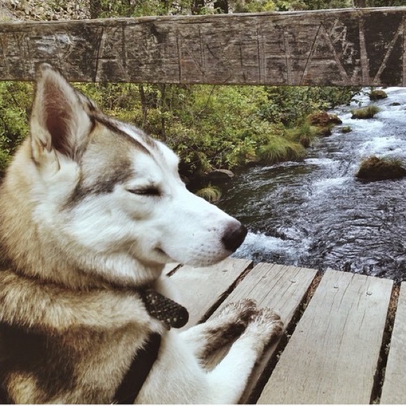 Meet your Posher, Ashlee - Picture 4 of 4